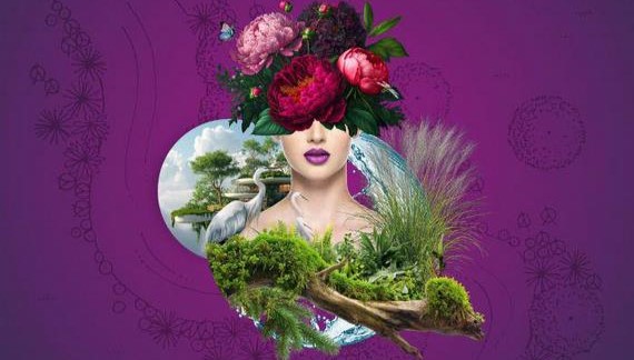 Producent mieszanek poplonowych